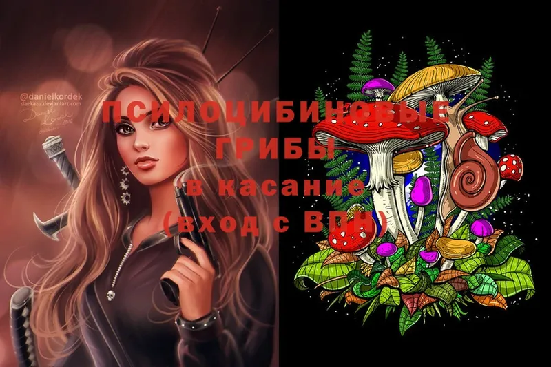 kraken tor  Искитим  Галлюциногенные грибы Psilocybine cubensis 